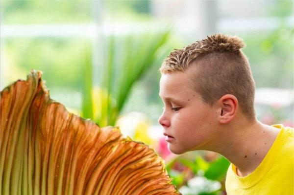  A young person reaches their neck out to smell a large yellow flower.  